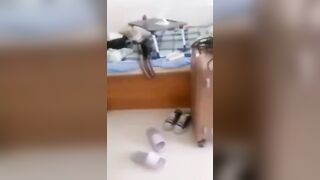 学校各种场合爆浆女大学生超刺激