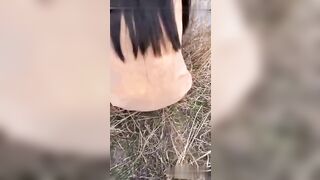 绿帽男淫妻野战绿帽男带淫妻野外勾引钓鱼佬