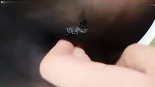 推特大神最新超高分调教流出户外栓母狗露出爬行室内鞭抽暴力调教