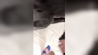 真实强奸两个男同学约女生来麻将房_直接就这么强上了_衣服都撕烂了